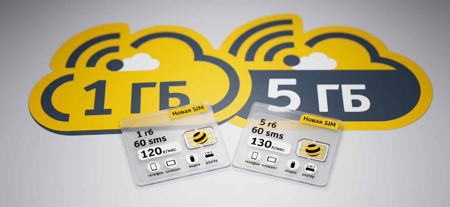 две SIM-карты с подписями 1 ГБ за 120 рублей и 5 ГБ за 130 рублей
